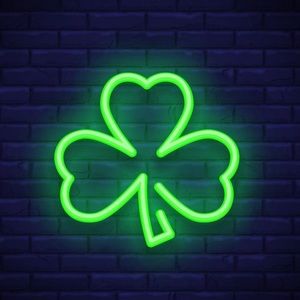 Meet your Posher, Ayse